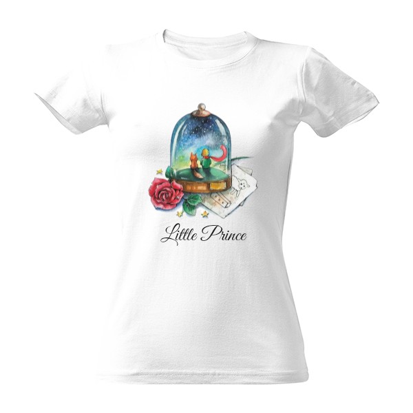 Maly Princ Saint Exupery Little Prince